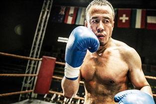 吃瓜娱乐拳击视频